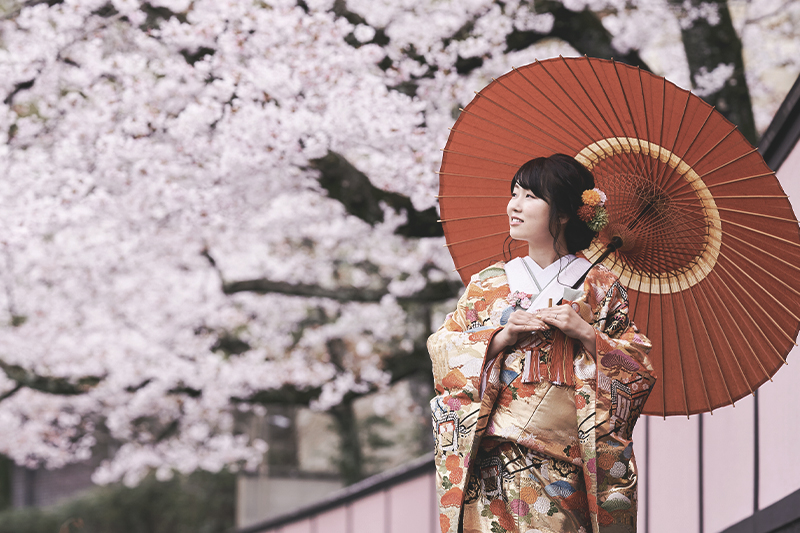 白川（京都市 ）での桜 フォトウェディング フォト婚 前撮り 白無垢 色打掛 和装