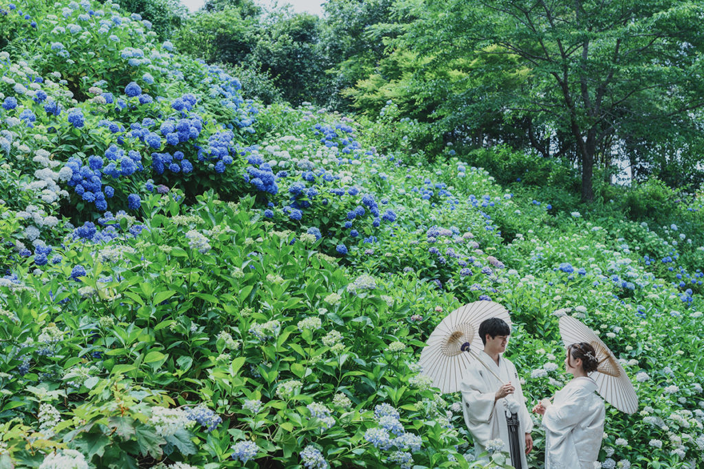 観音寺（福知山市 ）でのあじさい フォトウェディング フォト婚 前撮り 白無垢 色打掛 和装