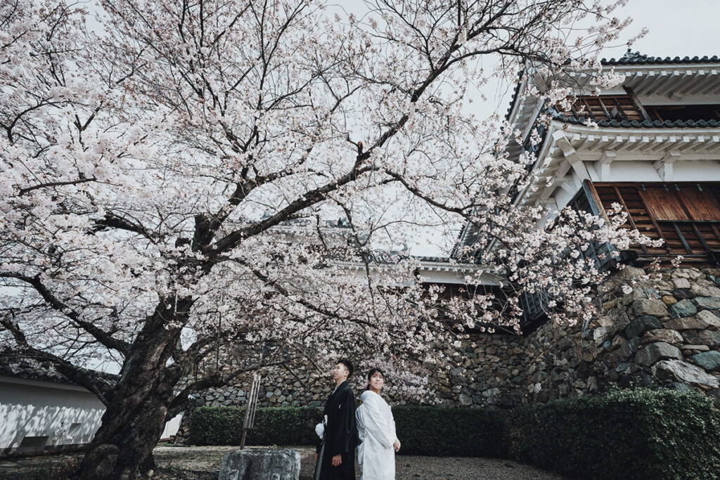 福知山城（京都府福知山市）｜結婚式 前撮り・フォトウェディング｜くくるくう