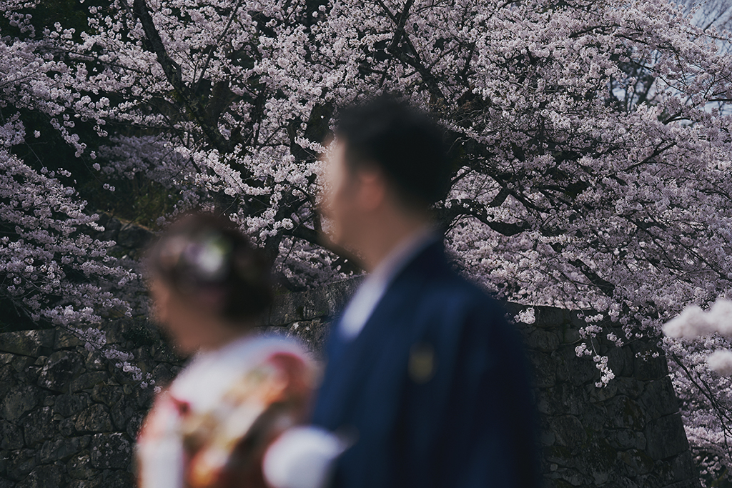桜前撮り くくるくう 福知山・舞鶴 京都北部のフォトウェディング フォト婚 結婚式撮影 白無垢 色打掛 和装