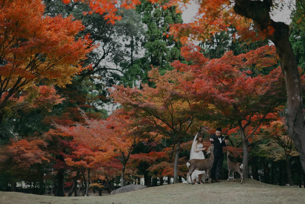 紅葉シーズンのフォトウェディング・結婚式前撮り！人気シーズンにつきご予約はお早めに！