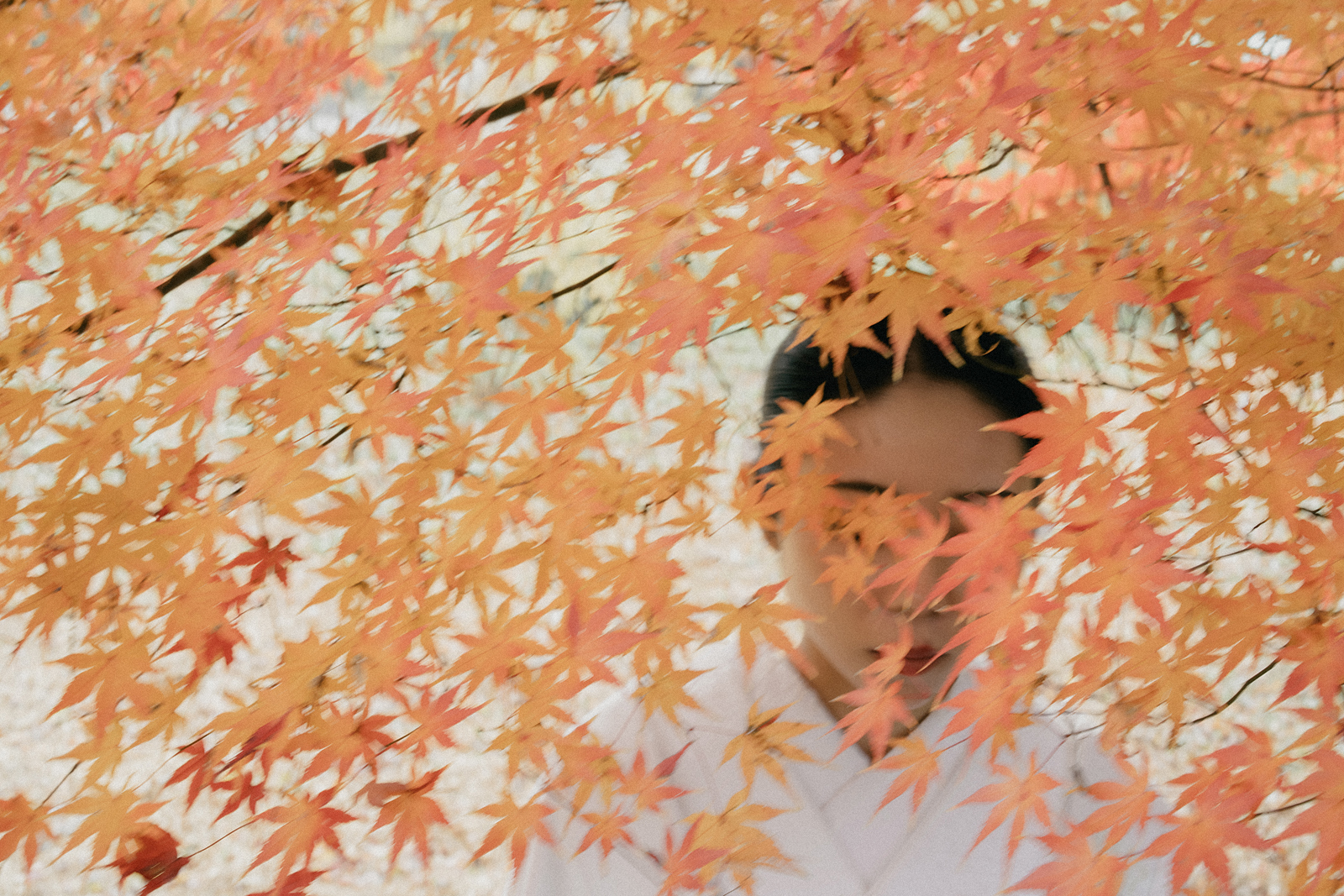 【2026秋】紅葉シーズンのフォトウェディング・結婚式前撮り!人気シーズンにつきご予約はお早めに!