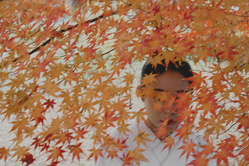 【2026秋・紅葉シーズン】フォトウェディング・結婚式前撮り!人気シーズンにつきご予約はお早めに!